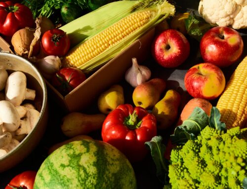 Consejos de Nutrición para una Vida Saludable y Equilibrada